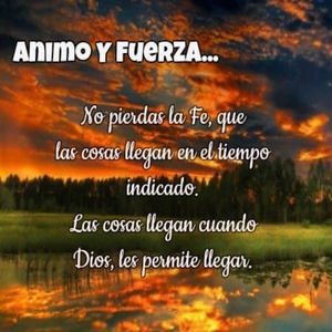 窝窝午夜看片七次郎青草视频
