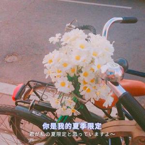 窝窝午夜看片七次郎青草视频
