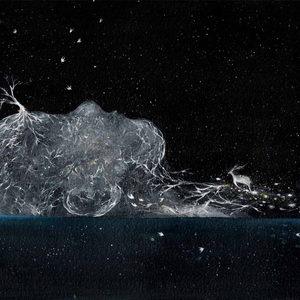 窝窝午夜看片七次郎青草视频
